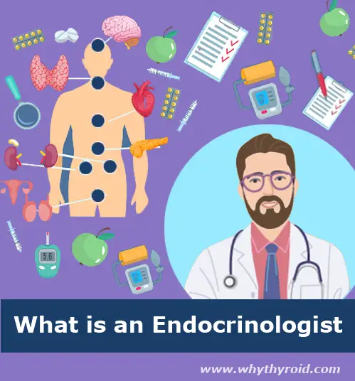 What is an Endocrinologist